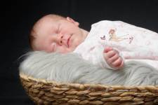 Sebastien JOUBERT - JOUBERT