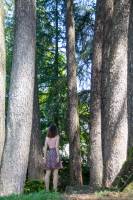 Mallory VERRIER - MALLORY VERRIER