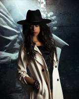 David AMADIEU - AMADIEU DAVID