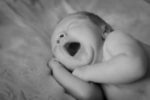 BOES LAETITIA - LAETITIA BOES PHOTOGRAPHY